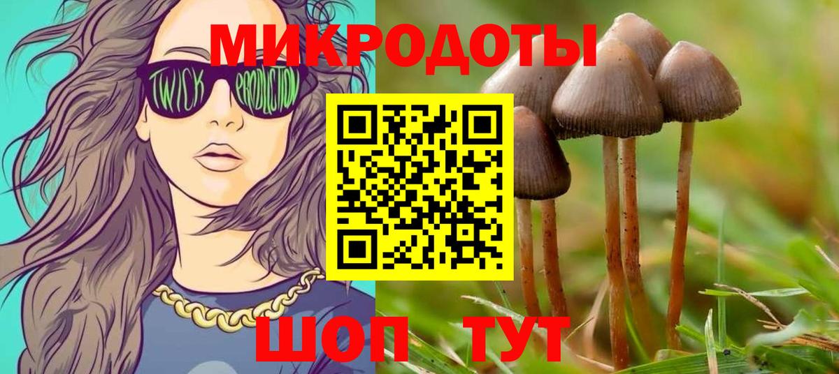 Псилоцибиновые грибы Psilocybe Альметьевск