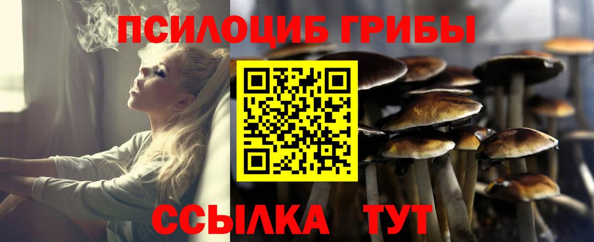 Псилоцибиновые грибы мицелий  Вход с VPN  Альметьевск 
